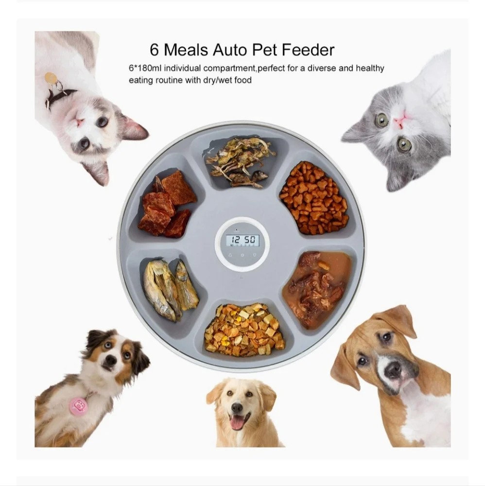 Automatic Pet Feeder